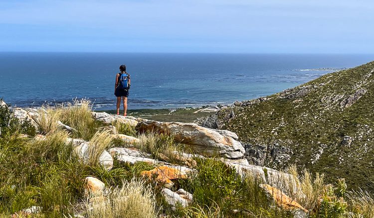 Kogelberg Nature Trail
